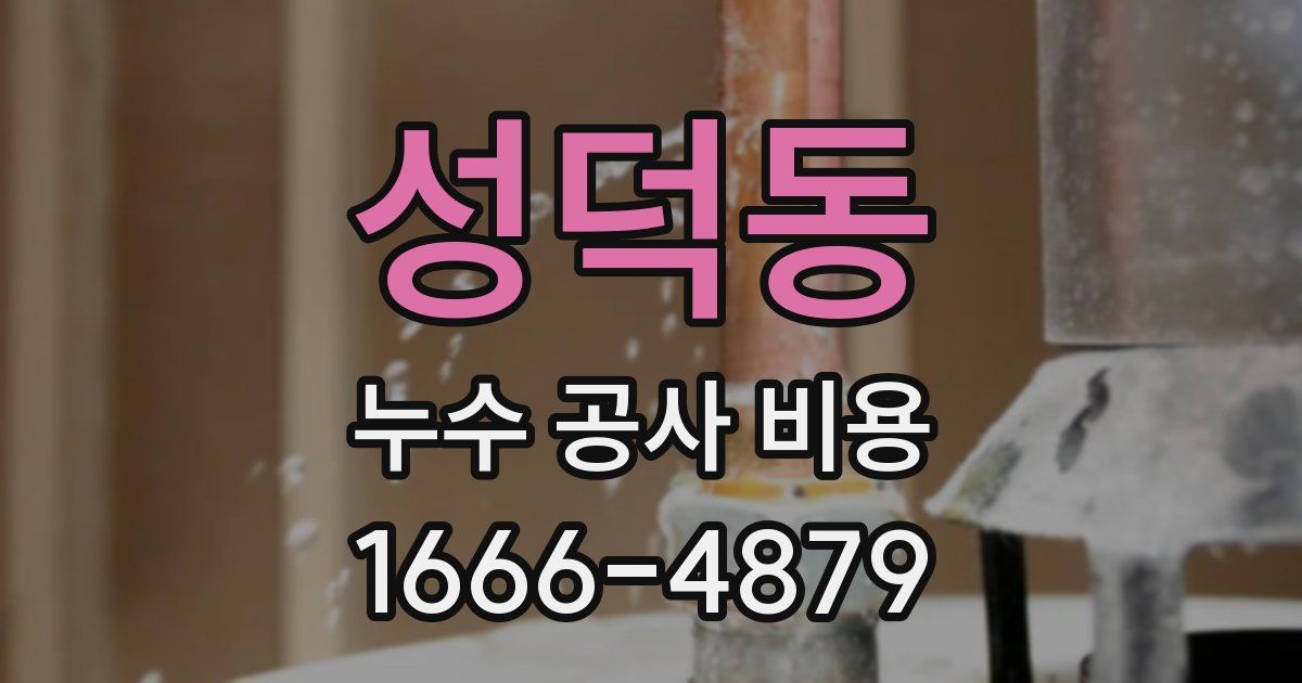 성덕동 누수 공사 비용