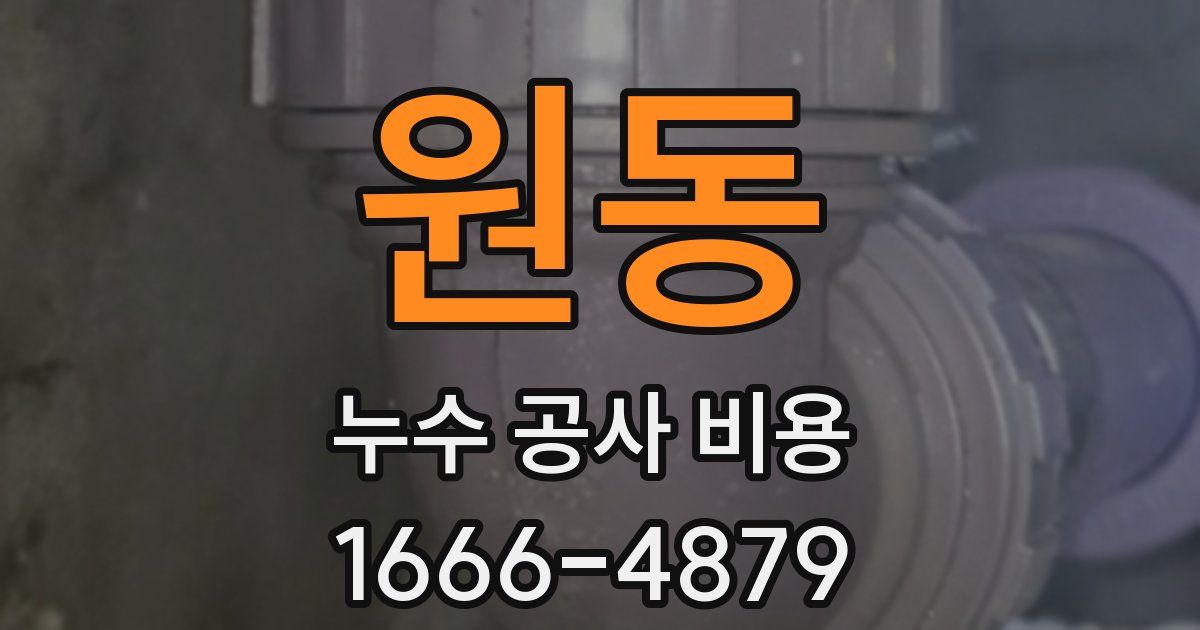 원동 누수 공사 비용