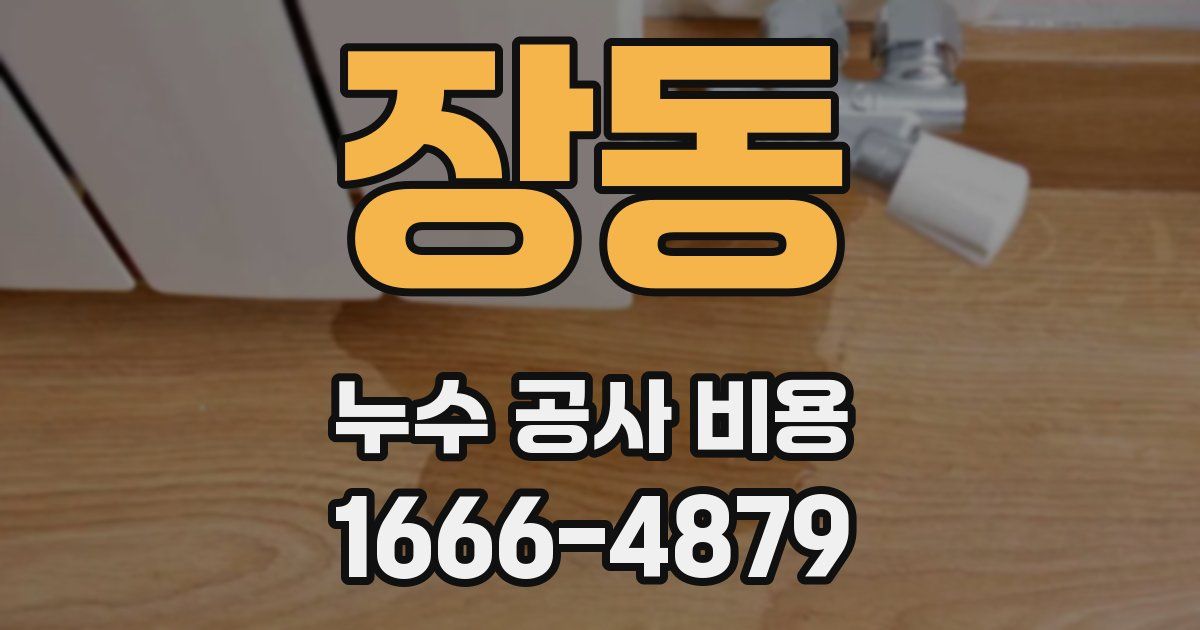 장동 누수 공사 비용