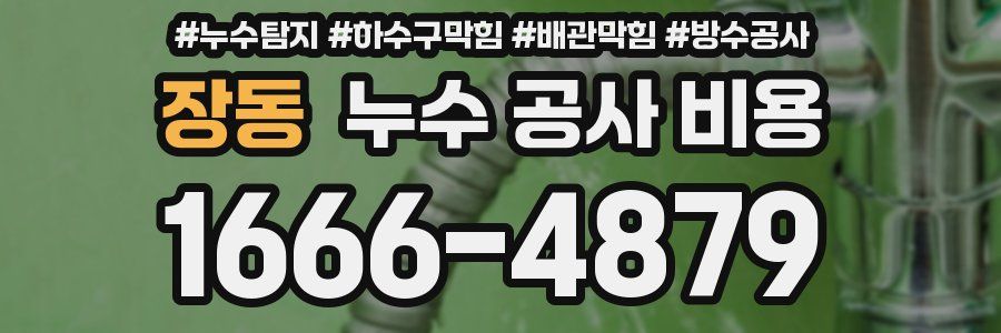 장동 누수 공사 비용
