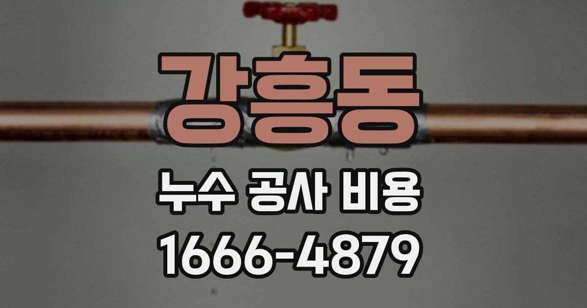 강흥동 누수 공사 비용