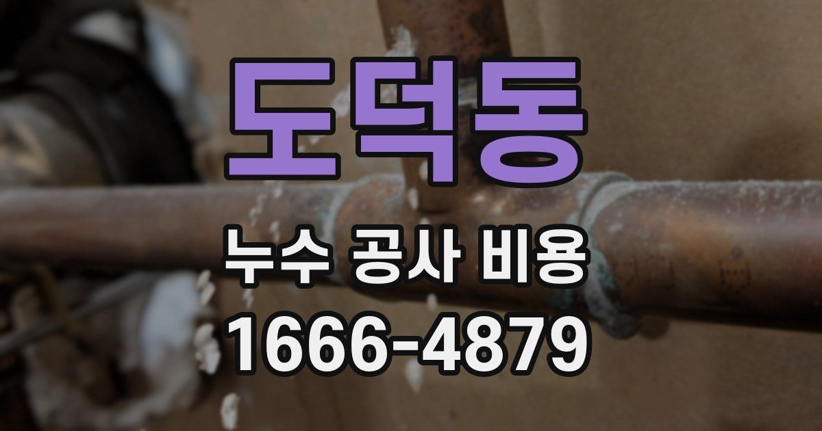 도덕동 누수 공사 비용