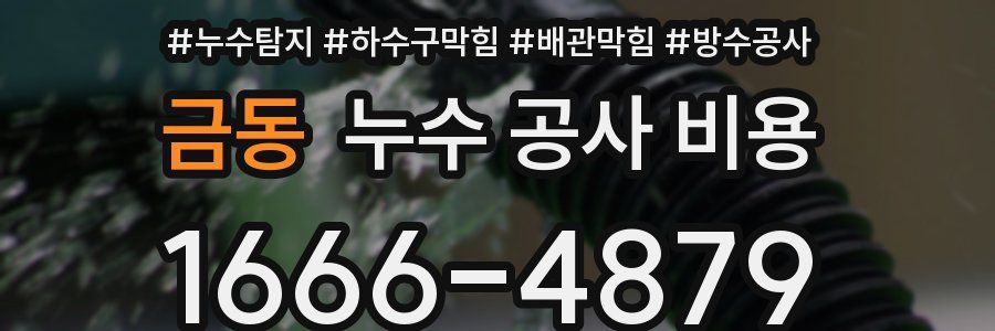 금동 누수 공사 비용