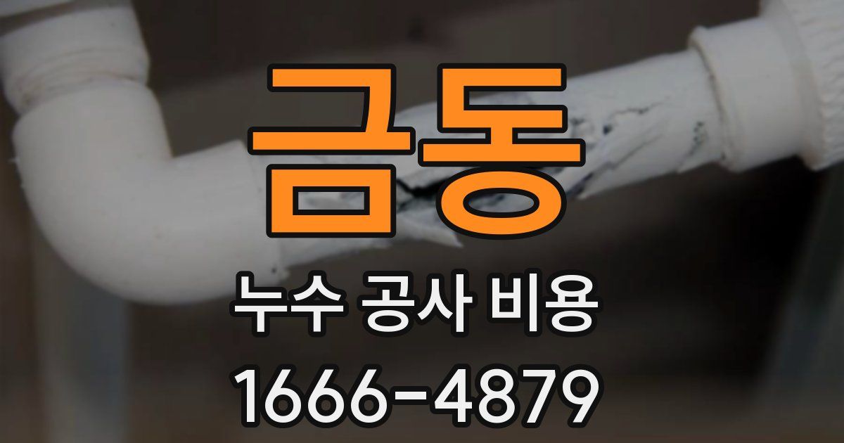 금동 누수 공사 비용
