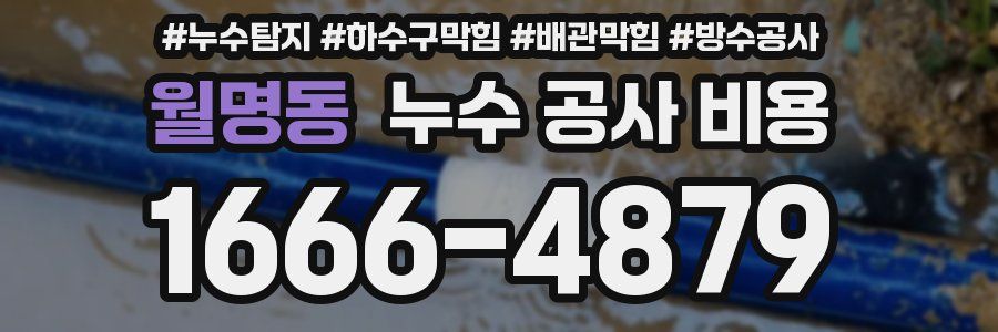 월명동 누수 공사 비용