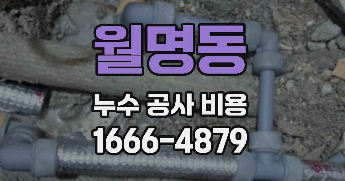 월명동 누수 공사 비용