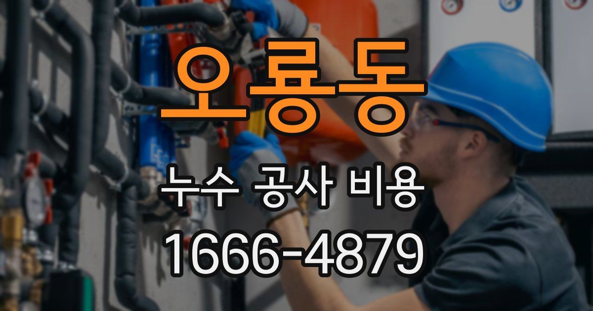 오룡동 누수 공사 비용