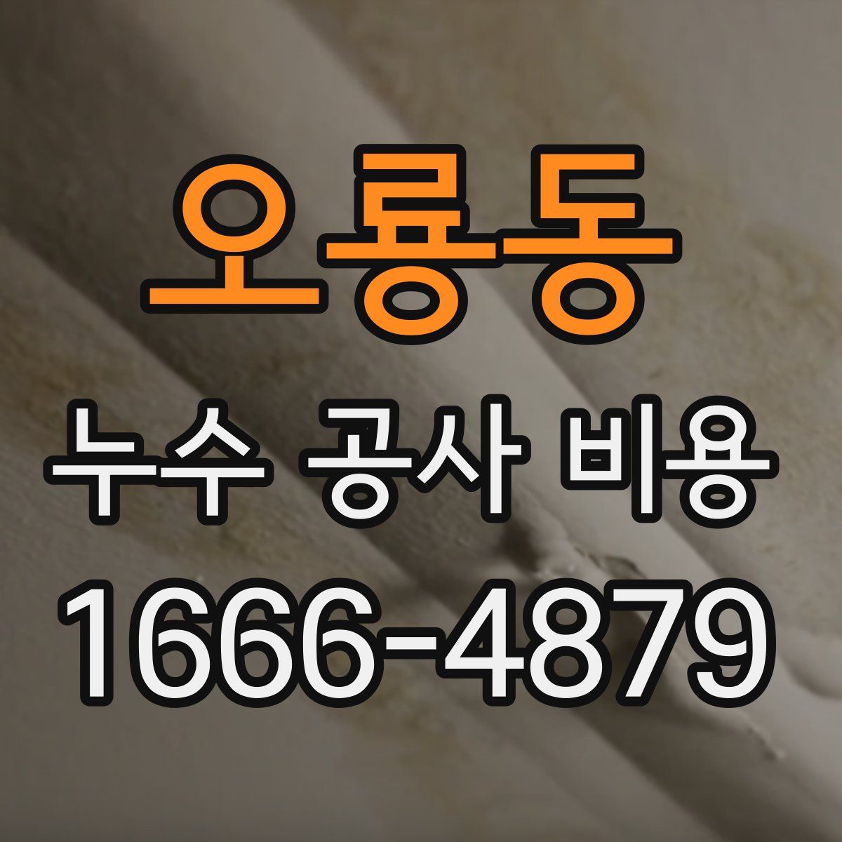 오룡동 누수 공사 비용
