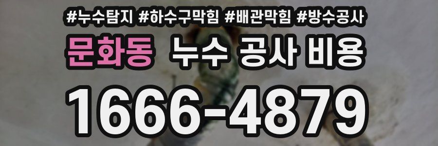 문화동 누수 공사 비용
