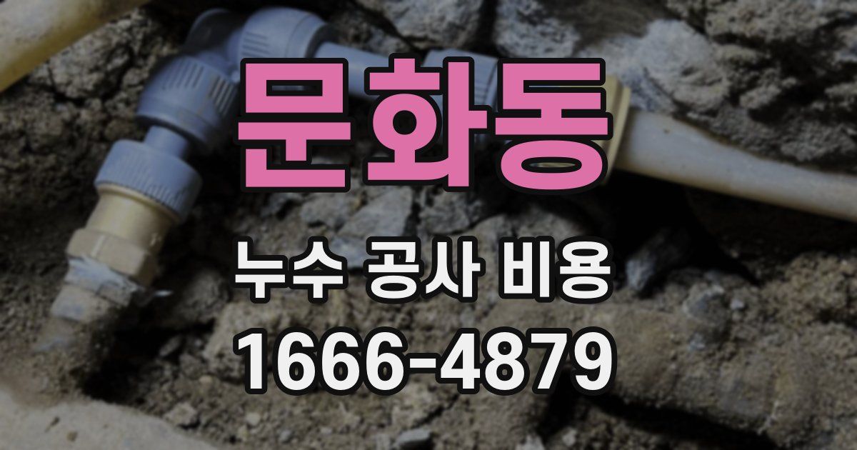 문화동 누수 공사 비용