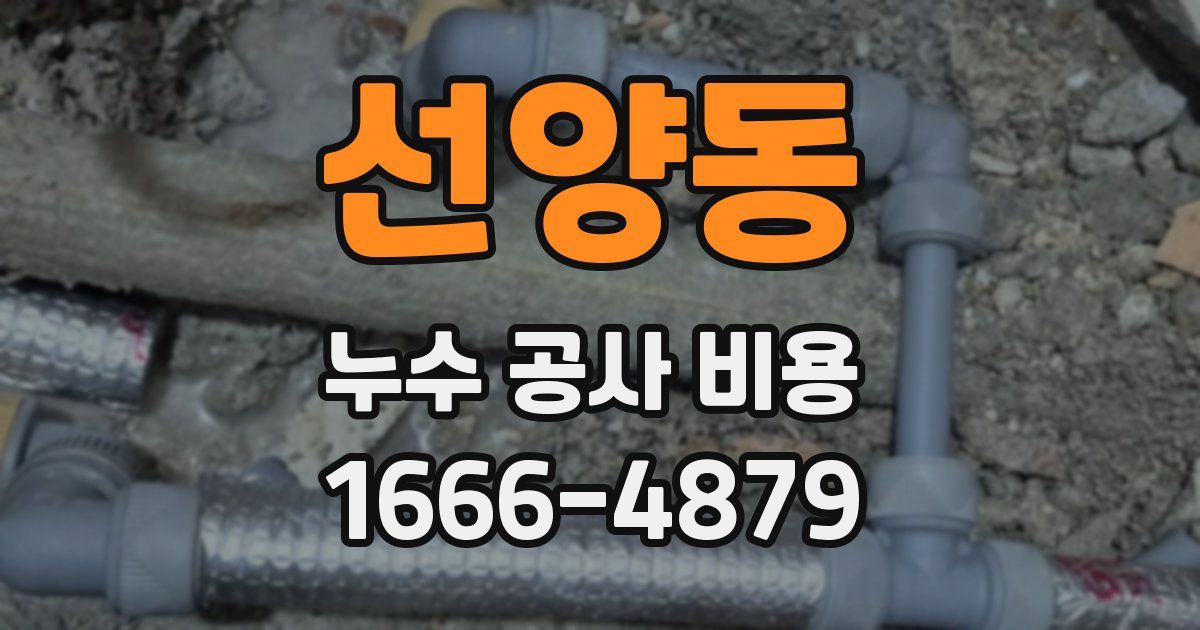 선양동 누수 공사 비용