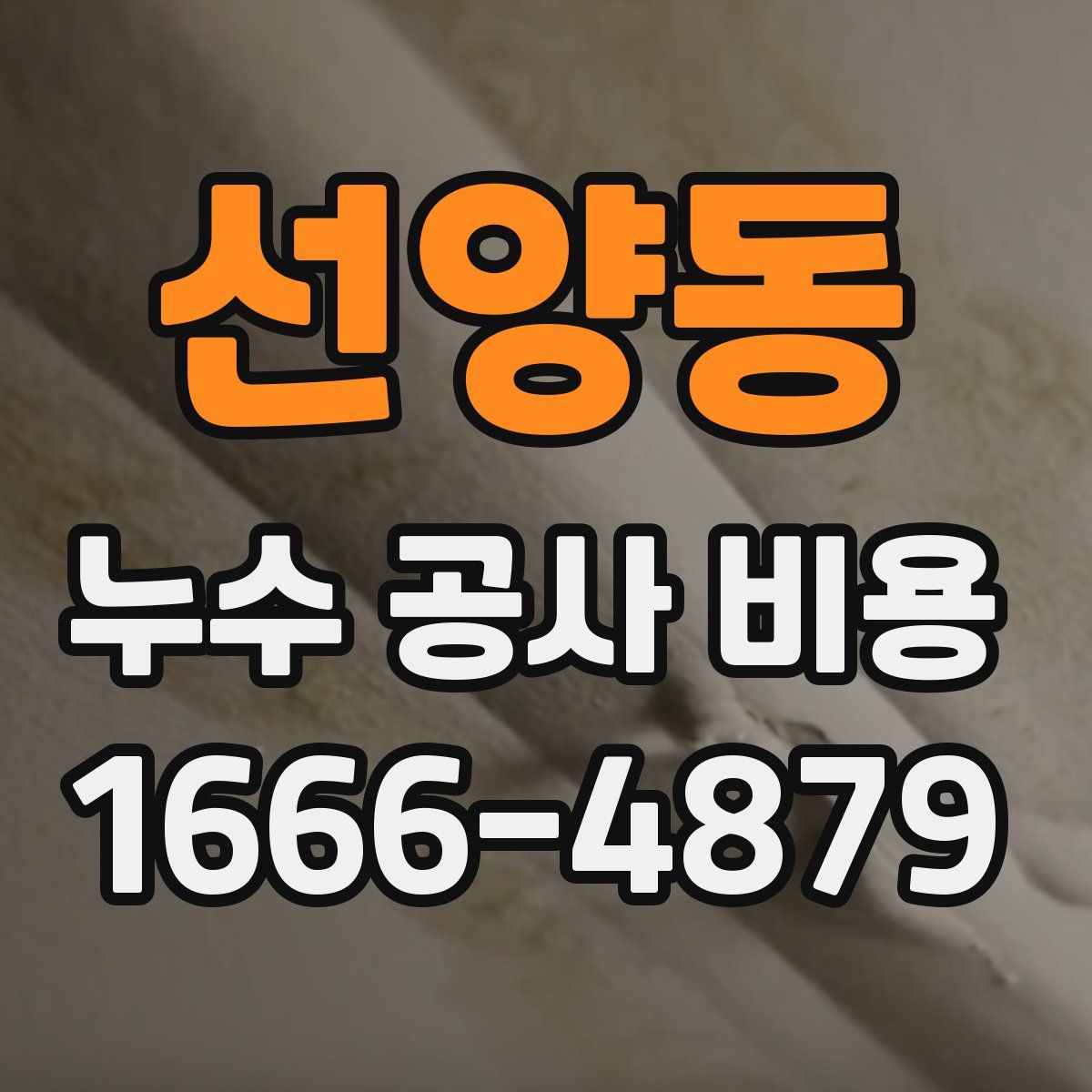 선양동 누수 공사 비용