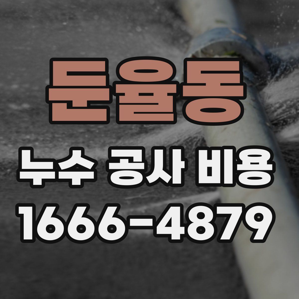 둔율동 누수 공사 비용