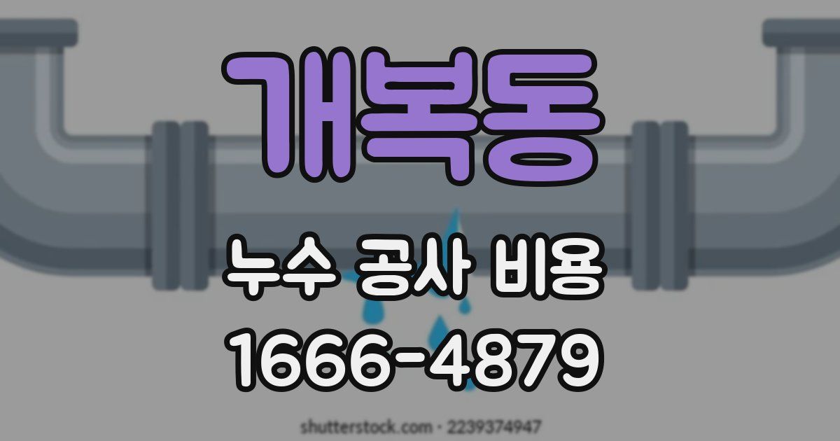 개복동 누수 공사 비용