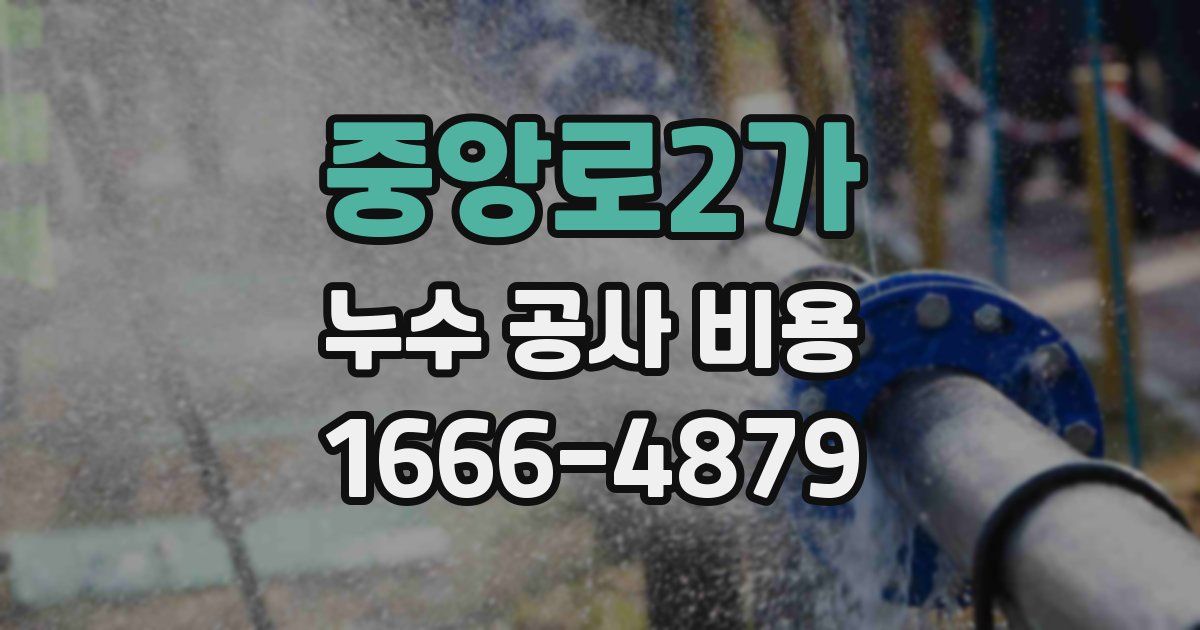 중앙로2가 누수 공사 비용