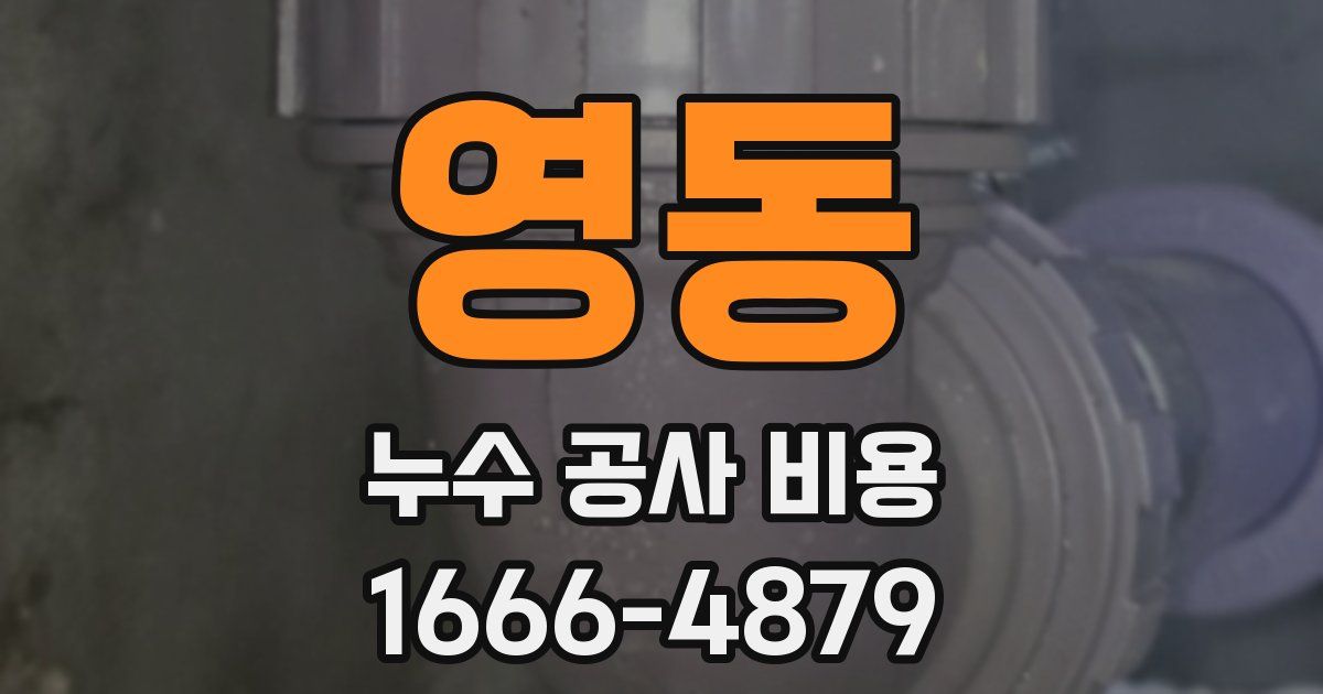 영동 누수 공사 비용