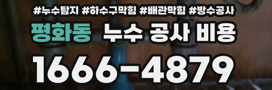 평화동 누수 공사 비용