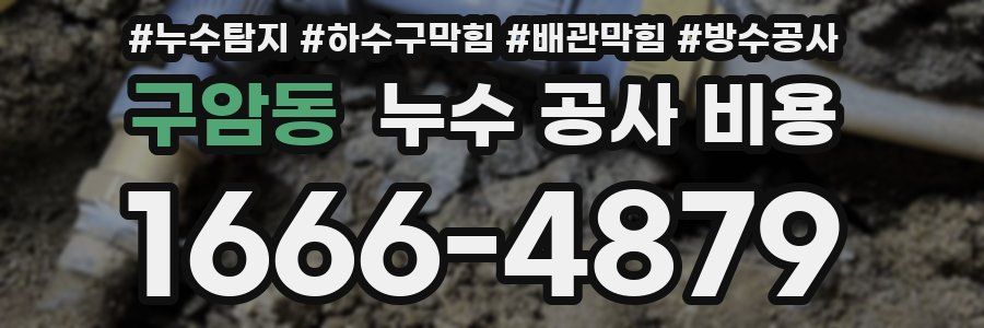 구암동 누수 공사 비용