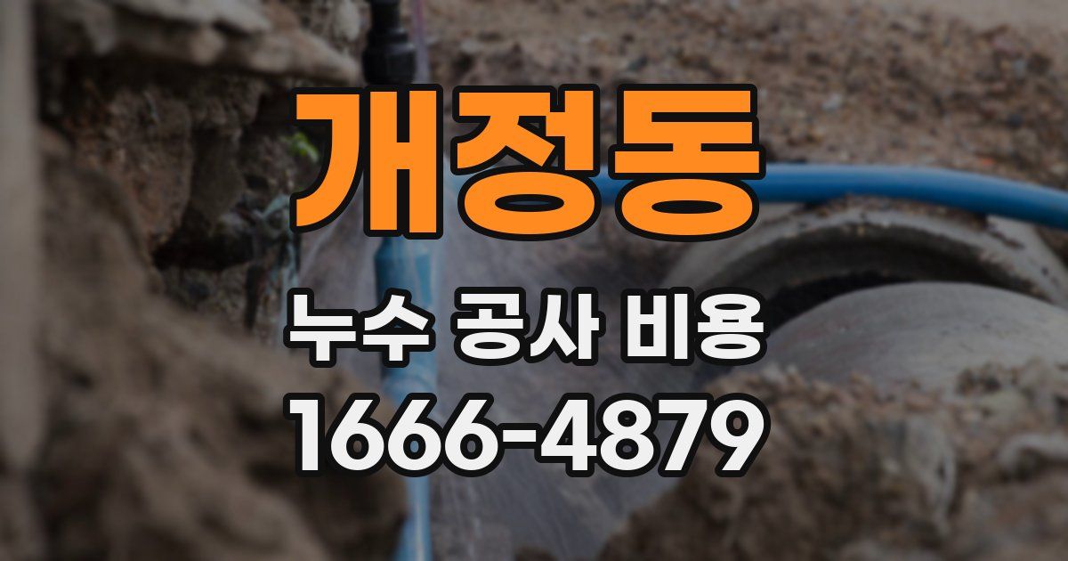 개정동 누수 공사 비용