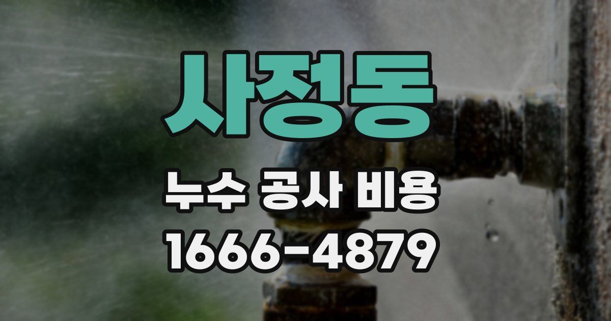 사정동 누수 공사 비용