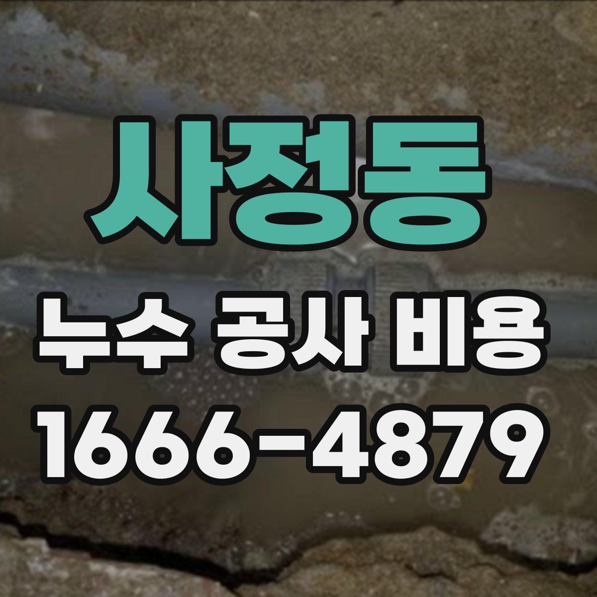 사정동 누수 공사 비용