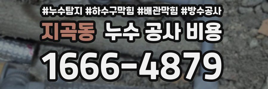지곡동 누수 공사 비용