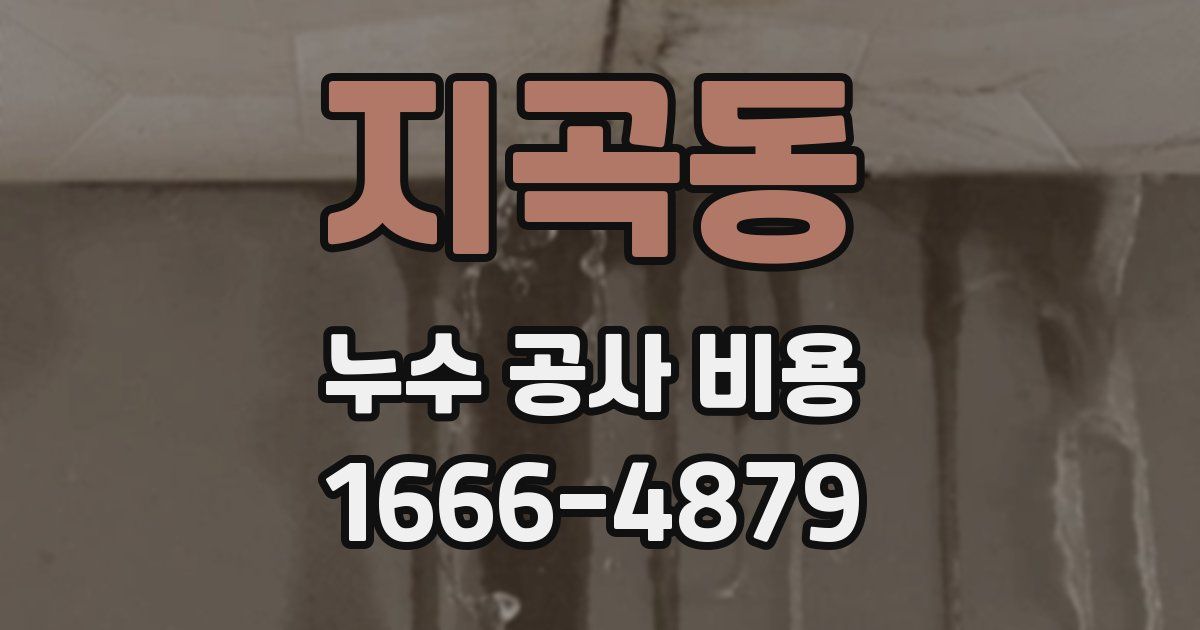 지곡동 누수 공사 비용