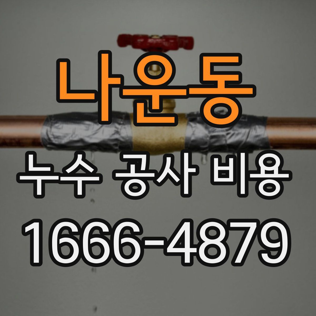 나운동 누수 공사 비용