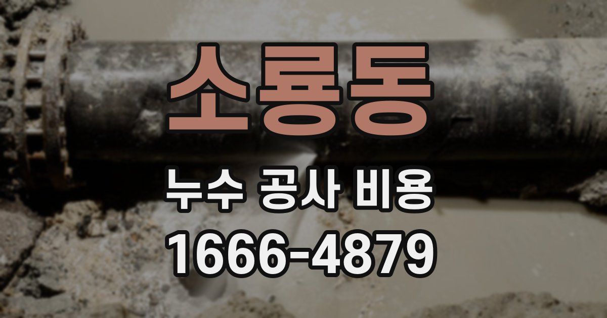 소룡동 누수 공사 비용
