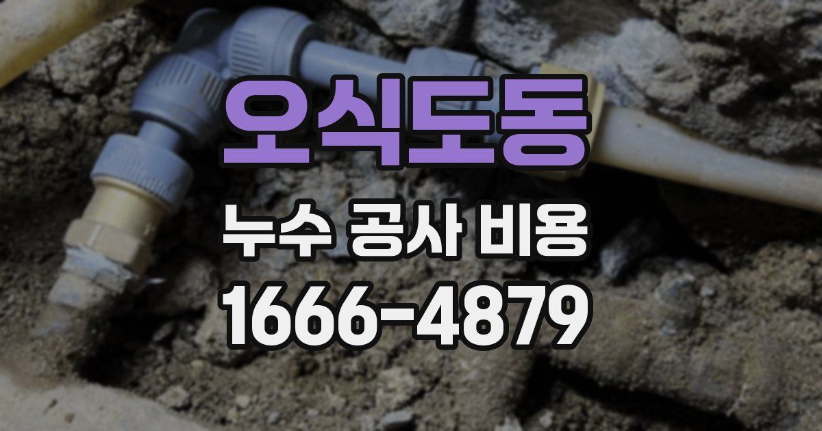 오식도동 누수 공사 비용