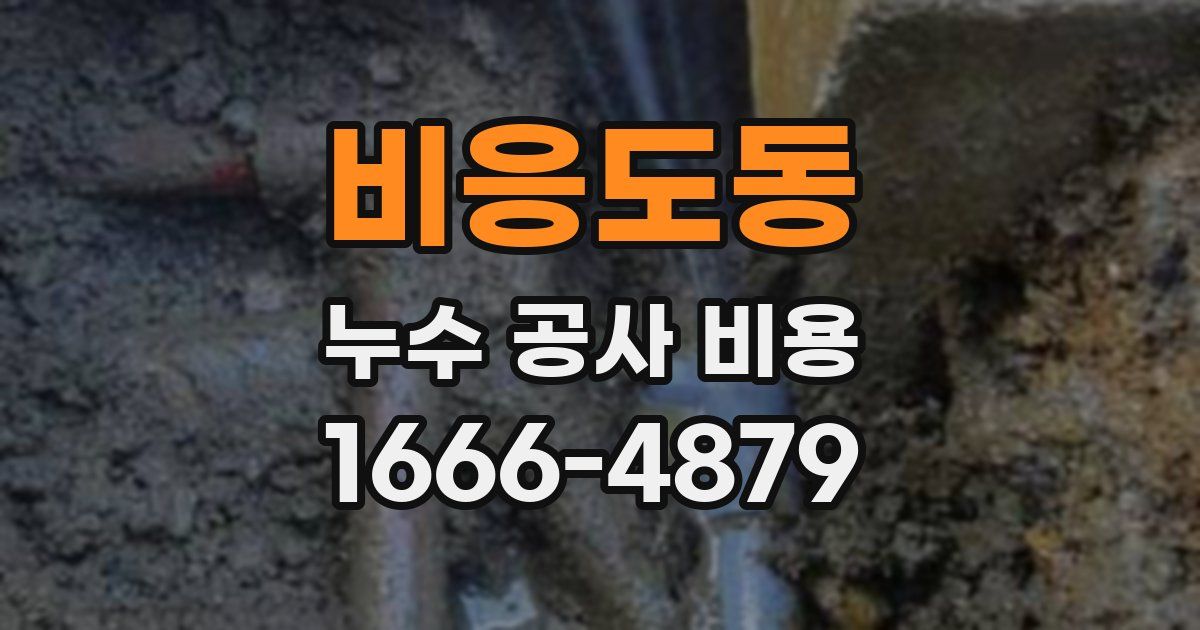 비응도동 누수 공사 비용