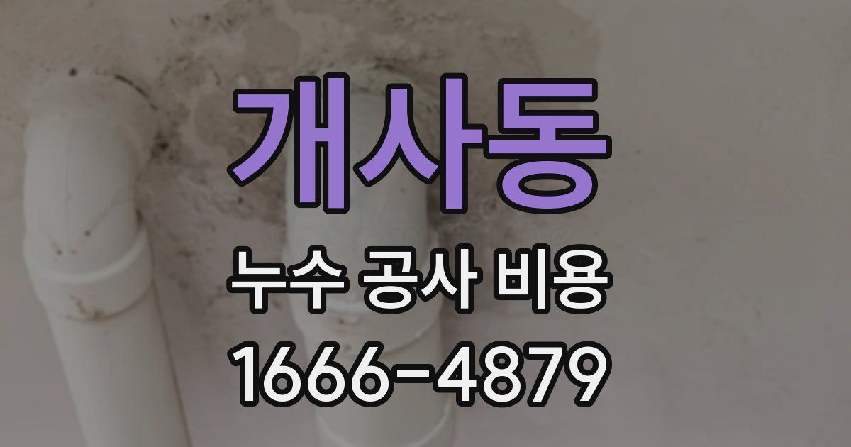 개사동 누수 공사 비용