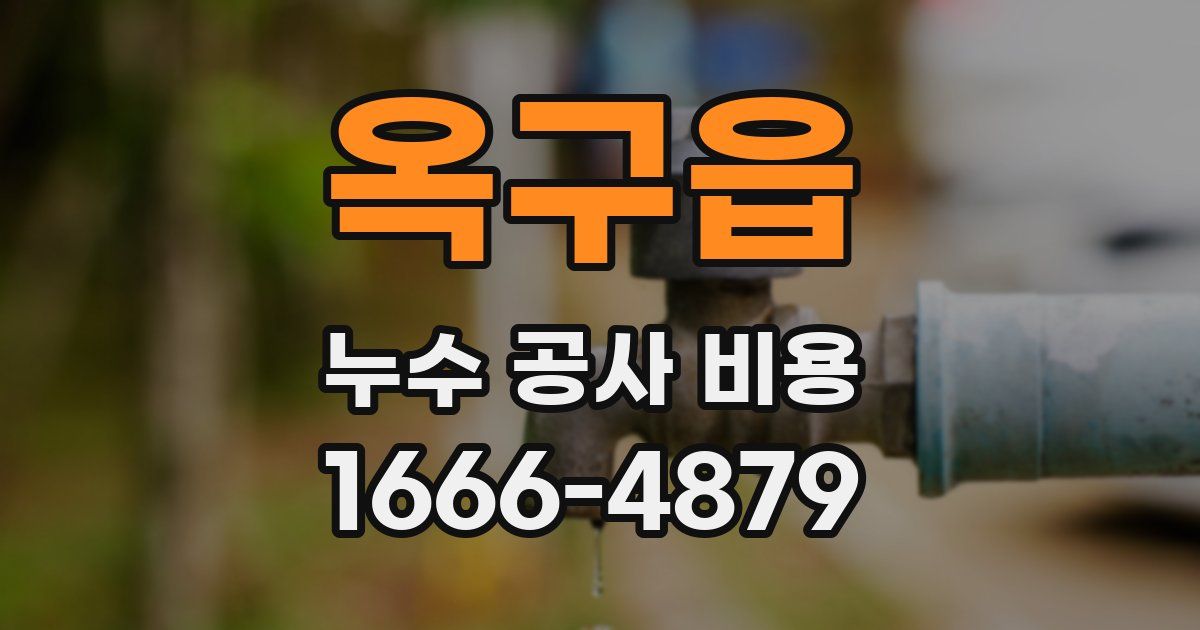 옥구읍 누수 공사 비용