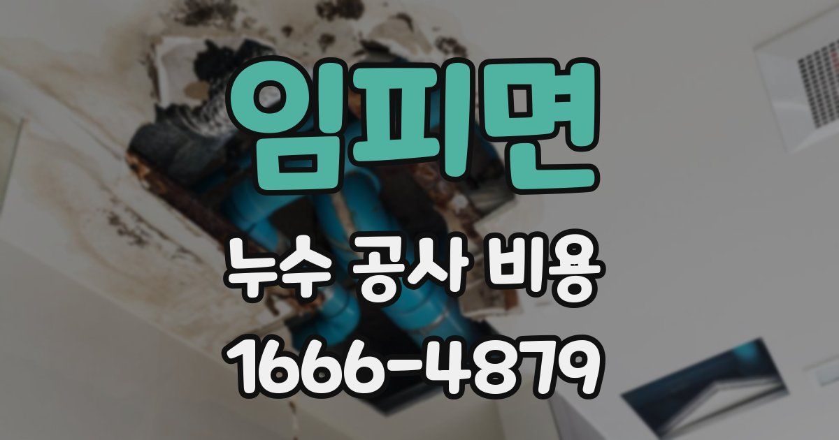 임피면 누수 공사 비용
