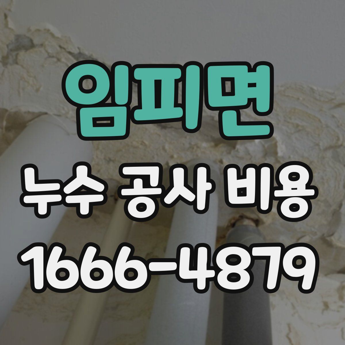 임피면 누수 공사 비용