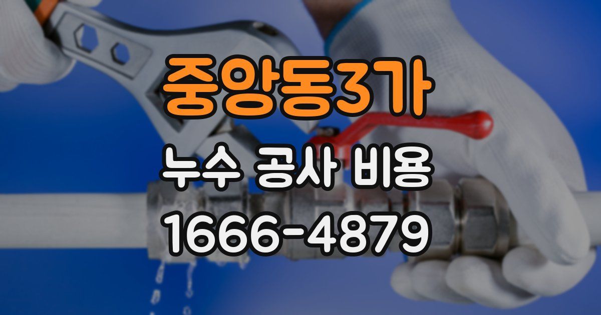 중앙동3가 누수 공사 비용