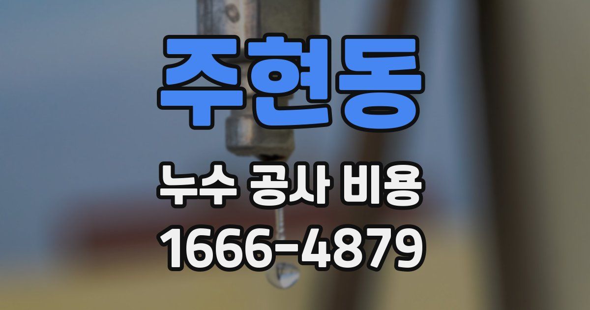 주현동 누수 공사 비용