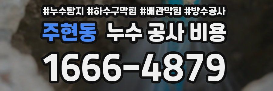 주현동 누수 공사 비용