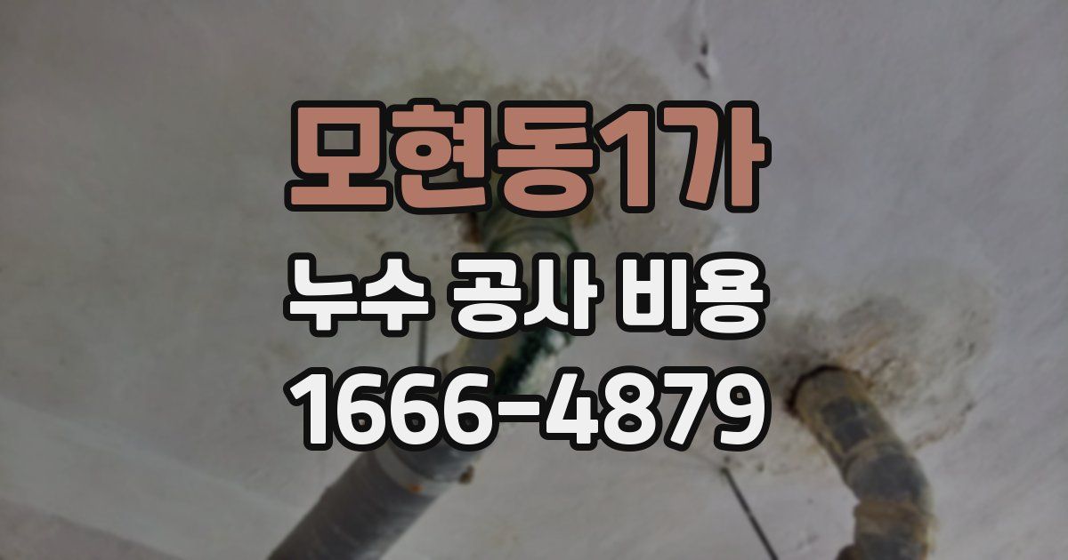 모현동1가 누수 공사 비용