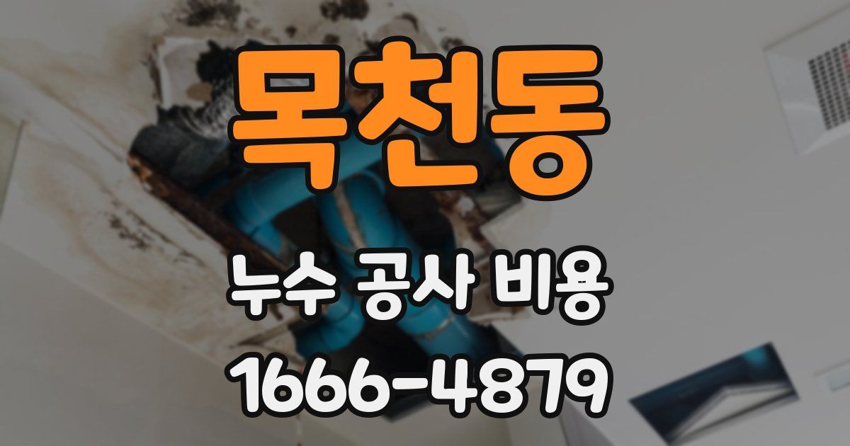 목천동 누수 공사 비용