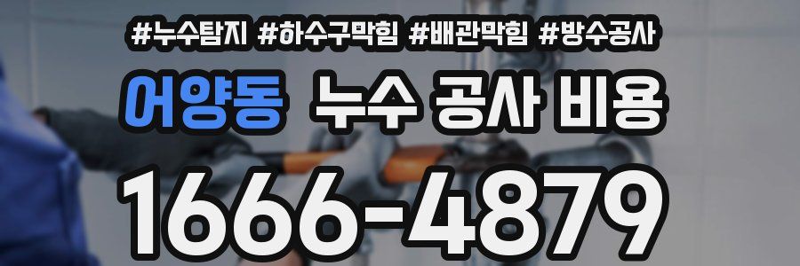 어양동 누수 공사 비용