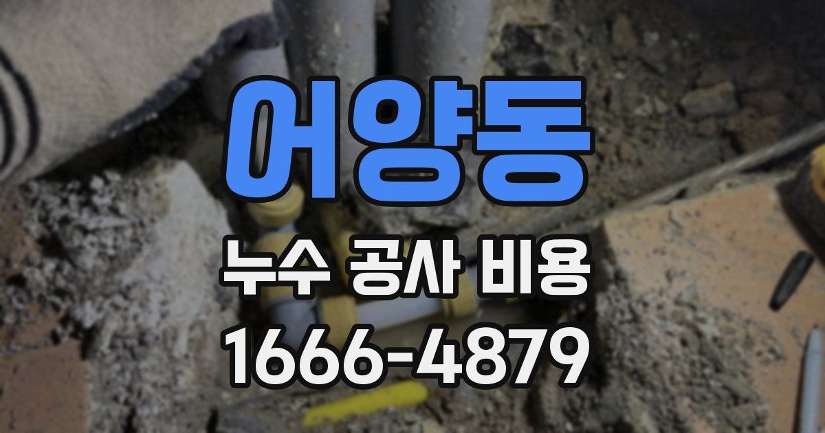 어양동 누수 공사 비용