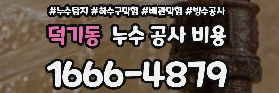 덕기동 누수 공사 비용