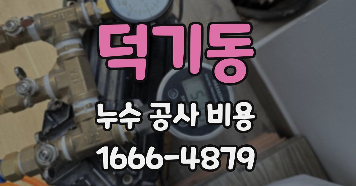 덕기동 누수 공사 비용
