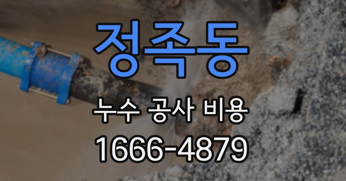 정족동 누수 공사 비용