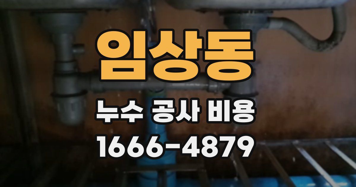 임상동 누수 공사 비용