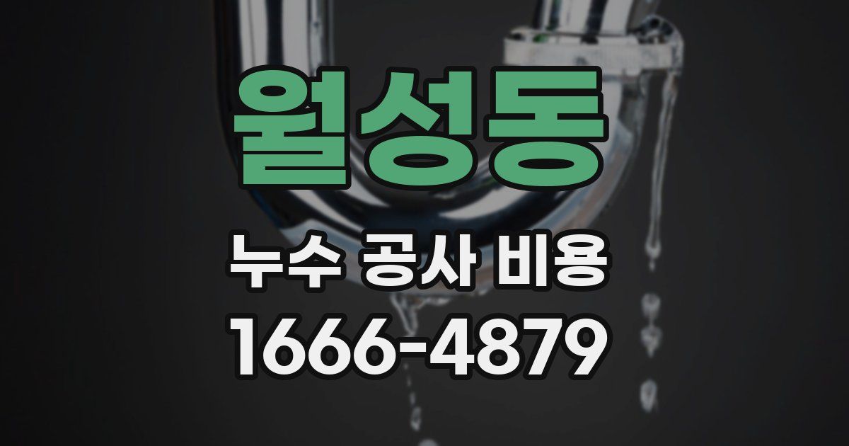 월성동 누수 공사 비용