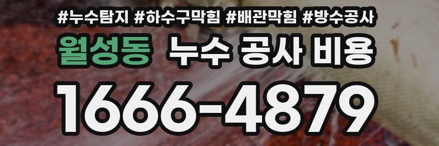 월성동 누수 공사 비용