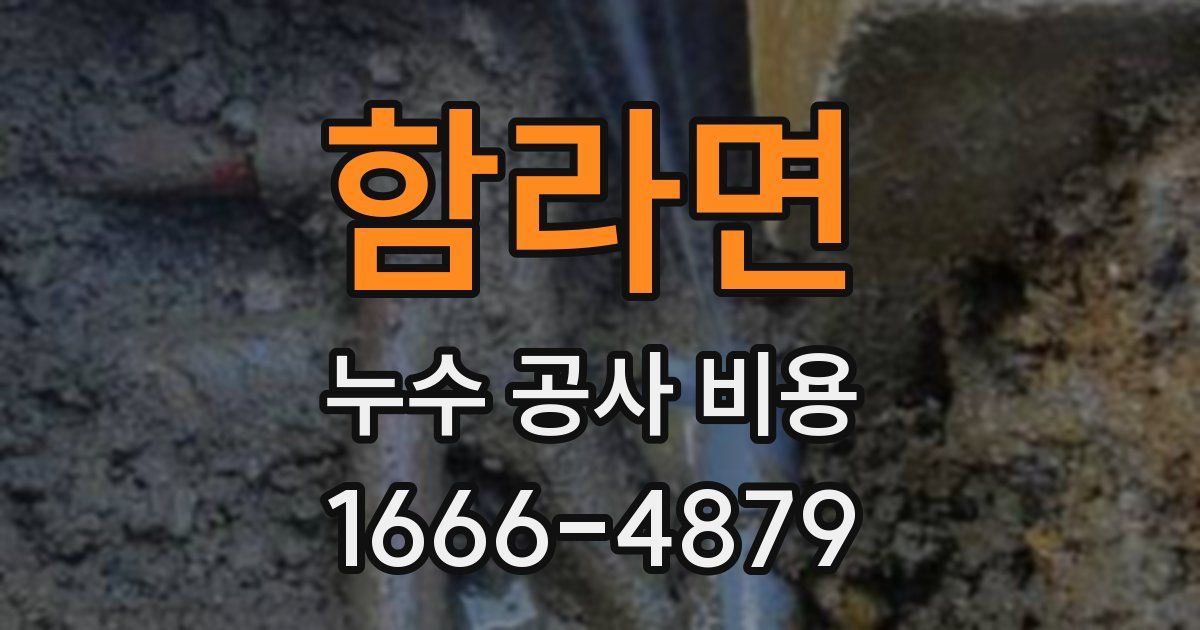 함라면 누수 공사 비용