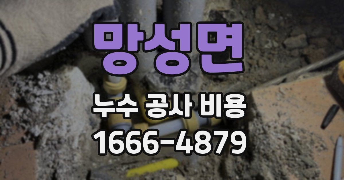 망성면 누수 공사 비용